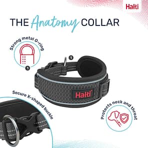 Halti Anatomy Collar Grey Features Guide 1080px