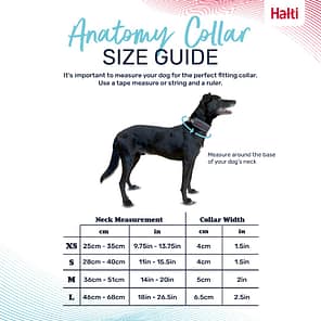 Halti Anatomy Collar Size Guide
