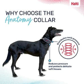 Halti Anatomy Collar Grey Why Choose 1080px