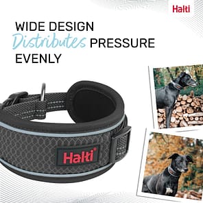 Halti Anatomy Collar Grey Wide Design 1080px