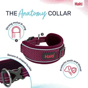 Halti Anatomy Collar Magenta Features 1080px