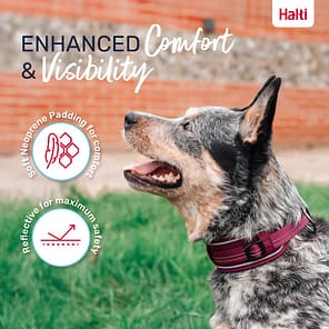 Halti Anatomy Collar Magenta Lifestyle 1080px