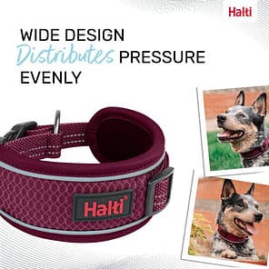 Halti Anatomy Collar Magenta Wide Design 1080px