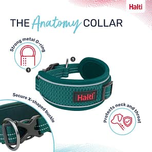 Halti Anatomy Collar Teal Features 1080px