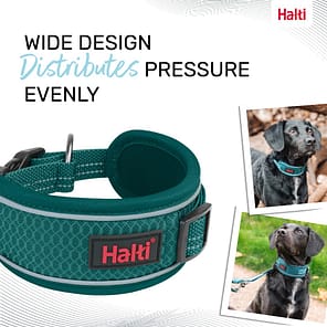 Halti Anatomy Collar Teal Wide Deign 1080px