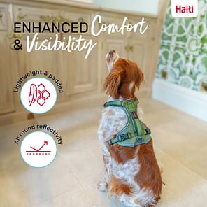 Halti Anatomy Harness Green Comfort and Visibility Infographic 1080
