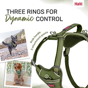 Halti Anatomy Harness Green Dynamic Control Infographic 1080