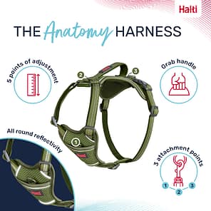 Halti Anatomy Harness Green Product Features Infographic 1080