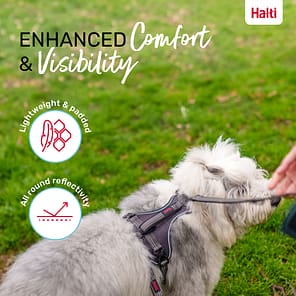 Halti Anatomy Harness Grey Comfort and Visibility Infographic 1080