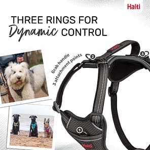 Halti Anatomy Harness Grey Dynamic Control Infographic 1080