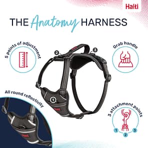 Halti Anatomy Harness Grey Product Features Infographic 1080