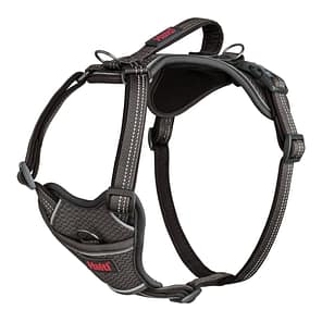 Halti Anatomy Dog Harness with Handle - Grey