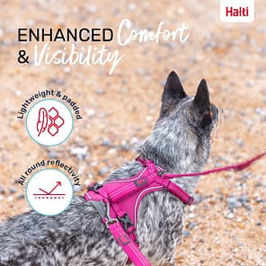 Halti Anatomy Harness Magenta Comfort and Visibility Infographic 1080