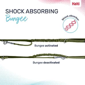 Halti Anatomy Lead Green Bungee Infographic 1080