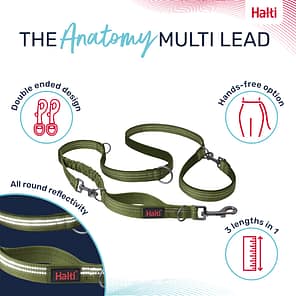 Halti Anatomy Lead Green Infographic 1080