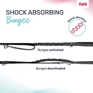 Halti Anatomy Lead Grey Bungee Infographic 1080