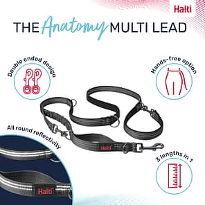 Halti Anatomy Lead Grey Product Features Infographic 1080