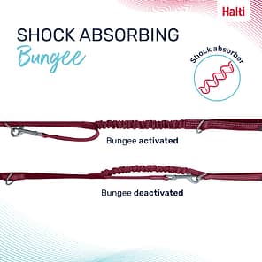 Halti Anatomy Lead Magenta Bungee Infographic 1080