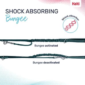 Halti Anatomy Lead Teal Bungee Infographic 1080