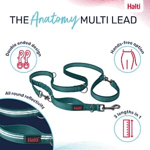 Halti Anatomy Lead Teal Product Features Infographic 1080