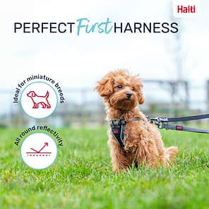 Halti Anatomy Puppy Harness First Harness Infographic 1080