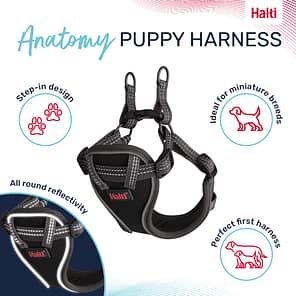 Halti Anatomy Puppy Harness Product Features Infographic 1080