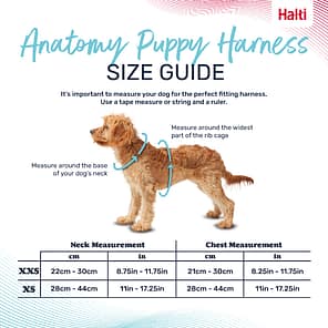 Halti Anatomy Puppy Harness Size Guide Infographic 1080