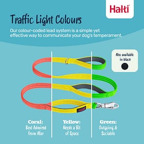 Halti BRIG Safety Lead Infogrpahic Traffic Light Colours 1080