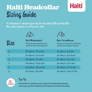 Halti Head Collar Size Guide NEW