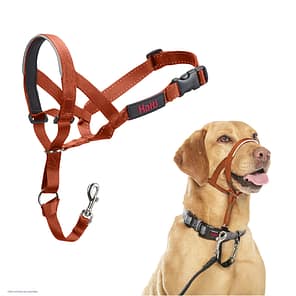Halti Headcollar Burnt Orange 1024