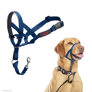 Halti Headcollar Cobalt Blue 1024
