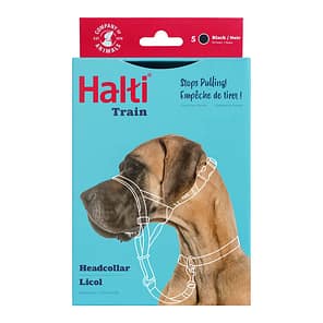 Halti Headcollar New Black S5 1080