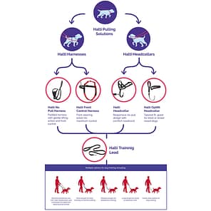 Flow Chart of Halti No Pull Solutions detailing Headcollars and Harness options