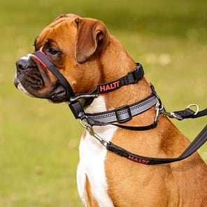 Halti Optifit Boxer 1024