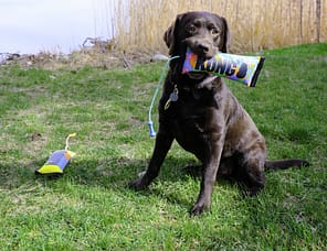 KONG Bunji Hi Viz Bumper Lifestyle 1080px