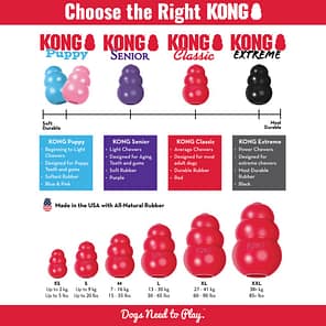 How to Choose the right KONG infographic