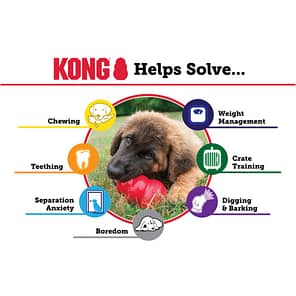 KONG Solution Wheel