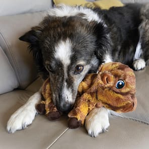 KONG Low Stuff Stripes Cow Lifestyle 1080