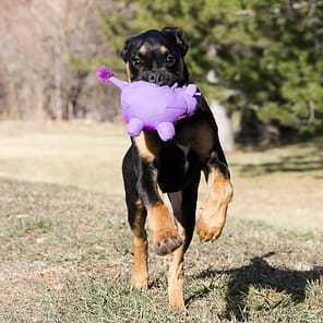 KONG Phatz Hippo Lifestyle4 1080px