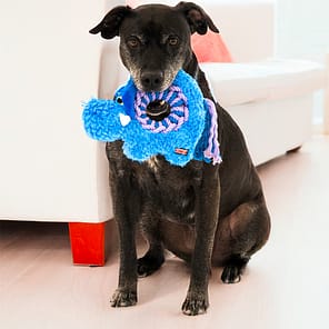 KONG Ringaroos Elephant Lifestyle 1080px