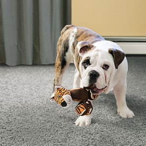 KONG TenniShoes Lifestyle 1080