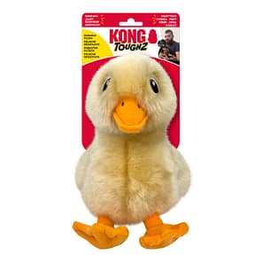 KONG Toughz Duck on card 1080