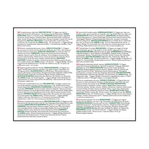 KONG Ziggies Large Back of Pack Text 1024