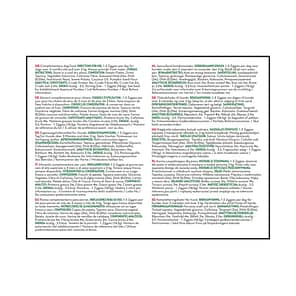 KONG Ziggies Puppy Small Back of Pack Text 1024