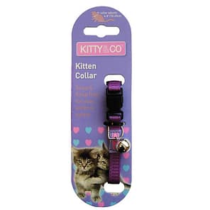 Kitty & Co Kitten Collar Purple 1024