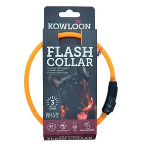 Kowloon LED Collar Small Orange 1024