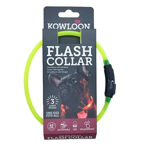 Kowloon LED Collar Small Yellow 1024