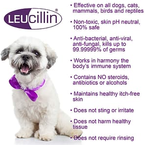 Leucillin Features & Benefits Info with small white dog image