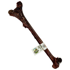 Ostrich-Caveman-bone