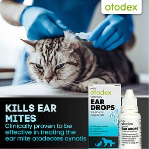 Otodex Ear Drops Kills Mites Cats Infographic 1080